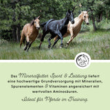 Mineralfutter Sport & Leistung